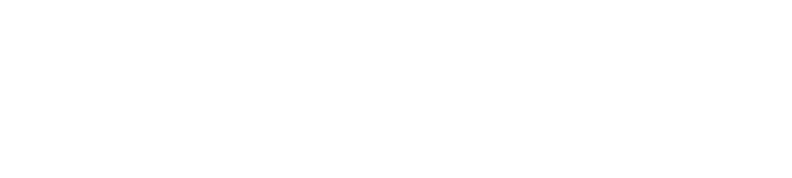 Burbidge Investment Group